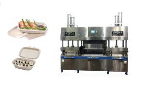 Quality Disposable Pulp Molding Lunch Box Making Equipment wholesale