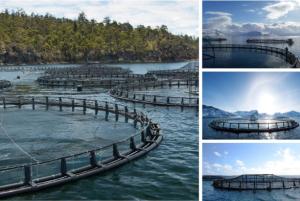 Quality Aquaculture Net HDPE PE100 Fish Farming Cage 30-160m Perimeter wholesale