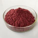 Best Selling Products Organic Acai Berry Powder In Bulk Stock