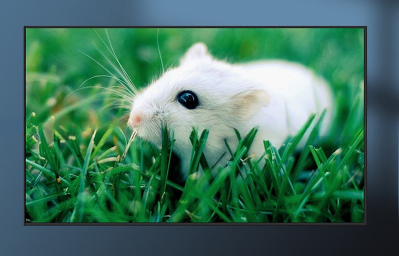 Super slim 20mm thickness UHD 49" inch LED TFT LCD display advertising signage video monitor 400nit 700nit metal casing