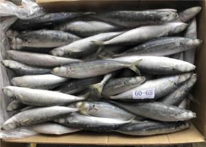 Quality Sea Decaptromateus Macrosoma 60g 65g Frozen Fishing Bait wholesale
