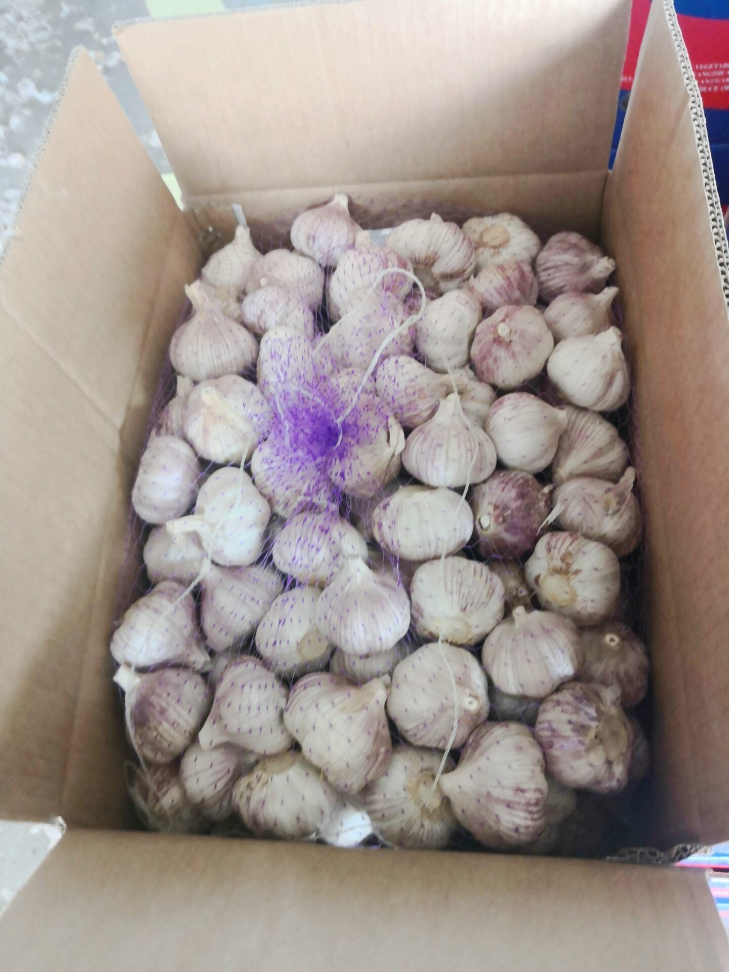 Natural Prepacks Fresh normal white garlic Pure White Garlic