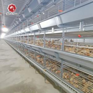 Quality 85*62.5*50 Cm Size Broiler Chicken Cage H Type wholesale