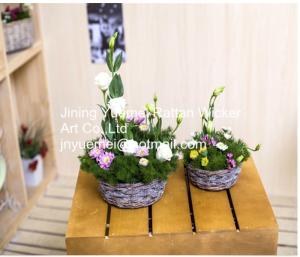 Quality China manufacturer wicker garden baskets willow plant baskets round shape wholesale
