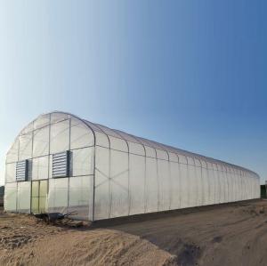 Quality Commercial Metal Frame Agriculture Plastic Film Greenhouse With Hydroponic System wholesale