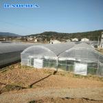 Vegetable Growing Tunnel Multi Span Greenhouse Plastic Film Material