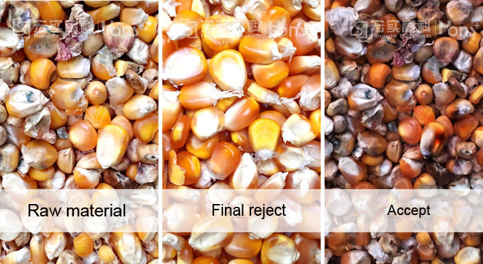 Hons+ High Capacity 3.0 KW White Corn Sorting machine 4.0~7.0 Tons New Design