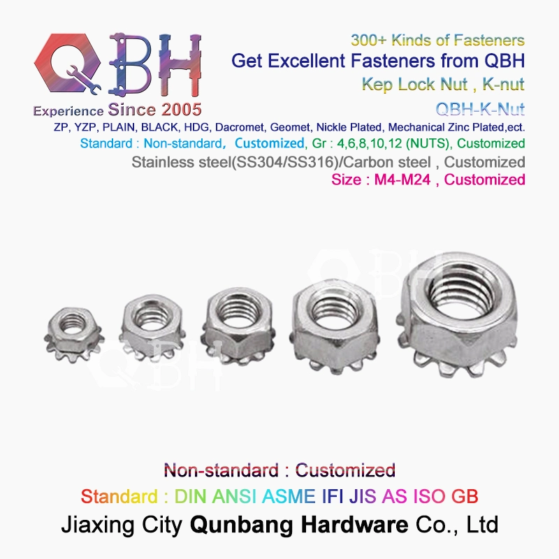 Qbh SS304 SS316 SUS304 SUS316 Stainless Steel K-Nut Star Nut