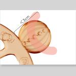 Tasteless No Indentation Baby Wristband Teether