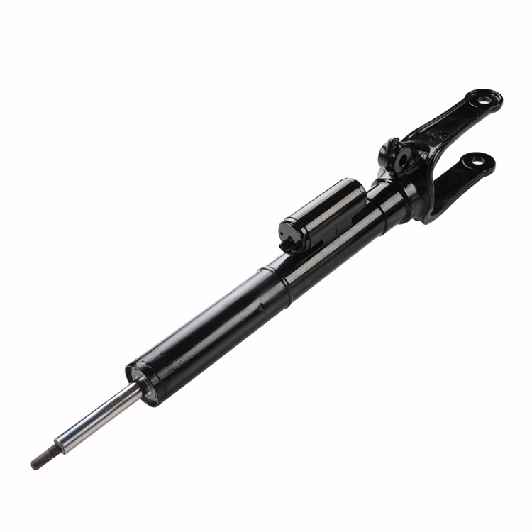 Germany Auto Parts Air Suspension System 2513200730 Air Suspension Strut