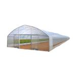 Tunnel Greenhouse Choose Customizable Size Single-Span Agricultural Greenhouses