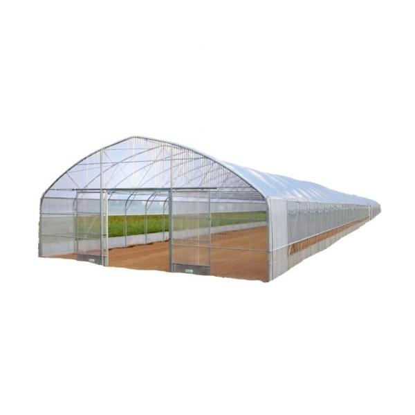 Tunnel Greenhouse Choose Customizable Size Single-Span Agricultural Greenhouses