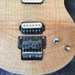EVH Wolfgang Edward Van Halen Guitars quilted vibrato Floyd Rose Electric