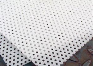 Quality Food Grade 1000mm Length 3mm Plastic Perforated Sheet wholesale