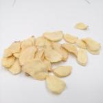 80mesh 100mesh Dehydrated Ginger Powder Low Bac 8.0 Moisture