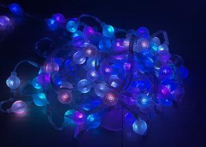 Quality IP65 Addressable Pineapple Led Light 1903 360 Degree 12v Crystal wholesale