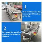 Water Saving Advantage Corn Material Vegetable Washing Bubble Machine for