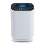 Homefish Fast Dispatch OEM Air Scent Diffuser Anion Air Purifier CFM 99%