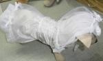dog wedding dress