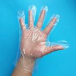 Disposable Clear Polythene PE Gloves / Plastic Food Safe Cleaning Glove For