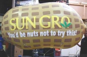 Quality Outdoor advertising attractive peanut inflatable helium balloon wholesale