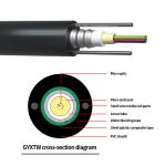 2 4 6 8 12Core G652D G657A G657A2 GYXTW Armoured Fiber Optical Cable for Outdoor