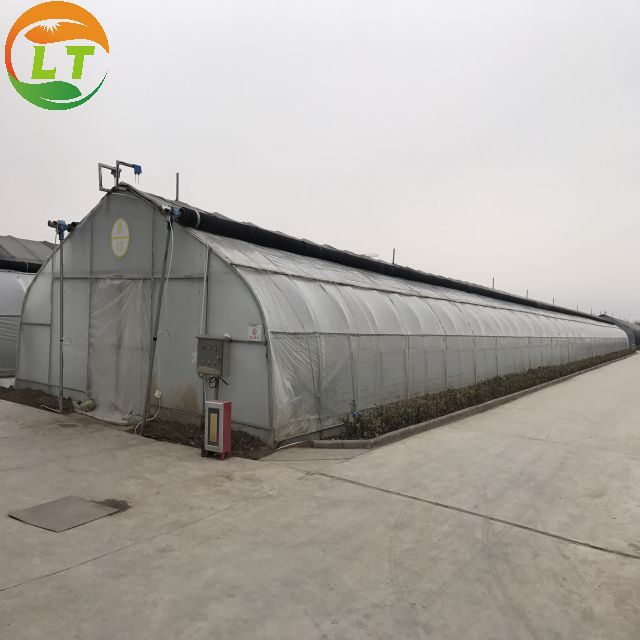 Ventilation Vents for 150/200micro PE Film Covered Greenhouse on Poultry Farm