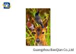 Animal Lenticular Greeting Cards , Deer 3D Greeting Cards For Christmas / New