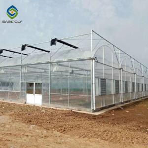 Quality 10m Hot Dip Galvanized Steel Frame Multi Span Greenhouse wholesale