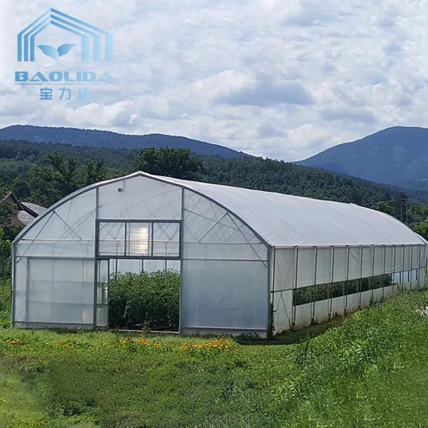 Top Ventilation Window Vegetable Hoop Green House Single Span Greenhouse Film