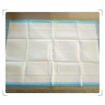 Manufacturer Organic Incontinence Non-woven Absorbent OEM Disposable Adult