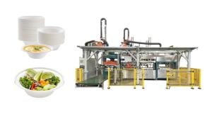 Quality ISO9001 Paper Pulp Molding Machinery For Environmentally Friendly Packaging wholesale