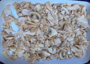 Quality 5.29oz Canned Champignon Mushroom Slices Pieces wholesale