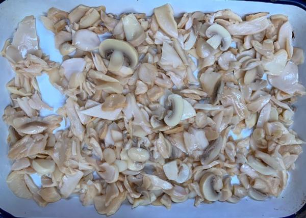 Cheap Salty Steamed King Oyster Canned Mushroom 150g for sale