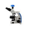 Buy cheap Tinocular Phase Contrast Microscope 40X - 1000X High School Microscope from wholesalers
