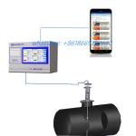 SS316L Tank Monitoring ATG 24V Magnetostrictive Probe