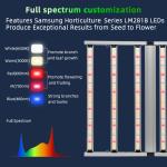 Dimmable 600w LED Full Spectrum Grow Light For Indoor Plant Full Spectrum 600w