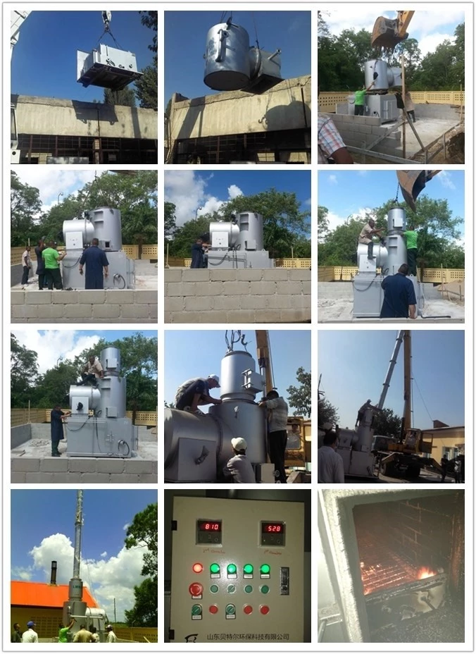 Animal Cremation Machine 1 and Waste Burning Function with Over 10 Years of Experience