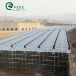 Transparent Polythene Tunnel Greenhouse for Growing Vegetables AGRICULTURE