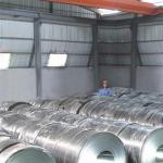 Dx51d Z150 Galvanized Steel Coil Factory SGCC Coating Cold Rolled 0.12-3.00mm