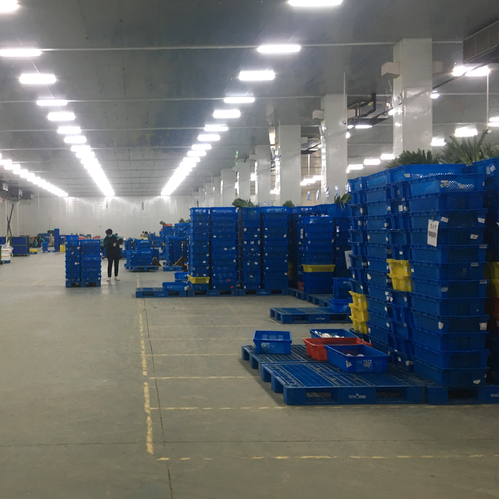 Plastic Apple Fruit Box Stack Nest Transport Crate for Heavy Duty Warehouse Solutions