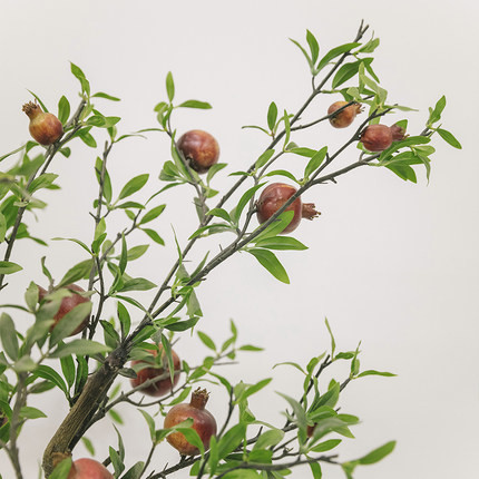 Airport PE 120cm Artificial Pomegranate Tree Environment Friendly
