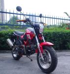 125cc Motorbike Street Bike for Two Person