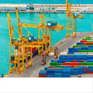Quality DDP International Sea Freight Forwarding From China To Europe wholesale