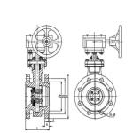 Graphite Flanged Wafer Butterfly Valve DN80 PN 40 Triple Eccentric Butterfly