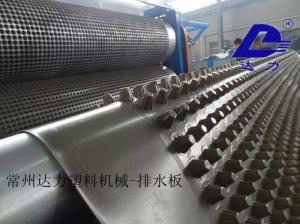 Quality LLDPE Drainage Sheet Extrusion Line Plant 16mx4.5mx4m wholesale