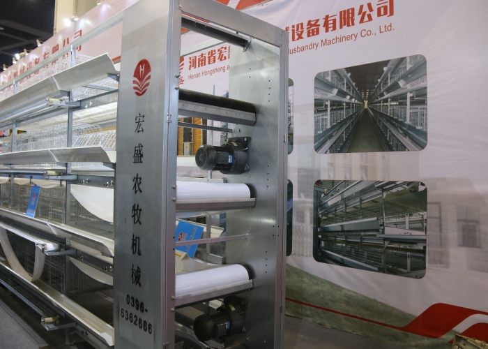 Energy Saving Chicken Farm Poultry Equipment Safety For Manure Removal