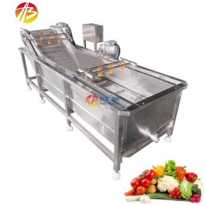 Quality 3000*1160*1400mm Green Vegetable Fruit Air Bubble Washing Machine for Mango Tomato wholesale