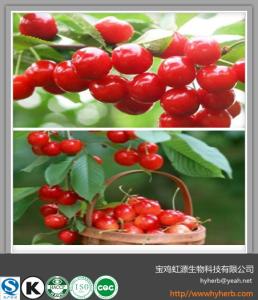 Quality Chinese cherry fruit extract powder wholesale