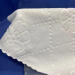 23x23cm Disposable Oshibori Towels